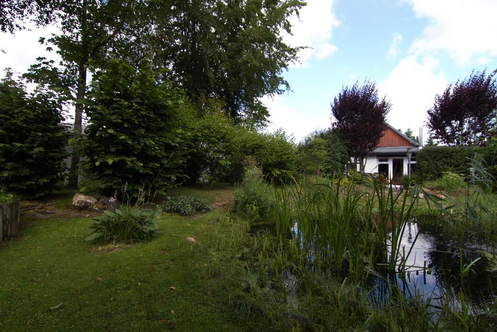 Ferienhaus Wildblick شليدن المظهر الخارجي الصورة